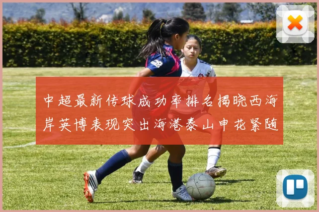 中超最新传球成功率排名揭晓西海岸英博表现突出海港泰山申花紧随其后