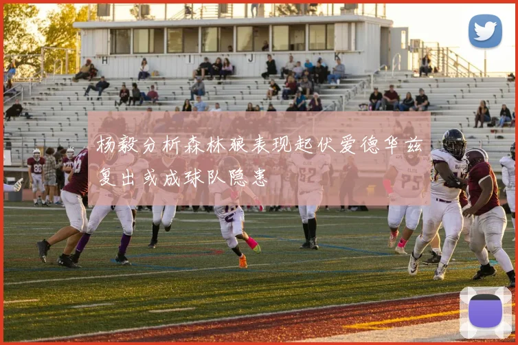 杨毅分析森林狼表现起伏爱德华兹复出或成球队隐患